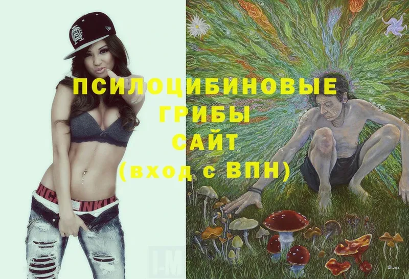 Галлюциногенные грибы Magic Shrooms  Тотьма 